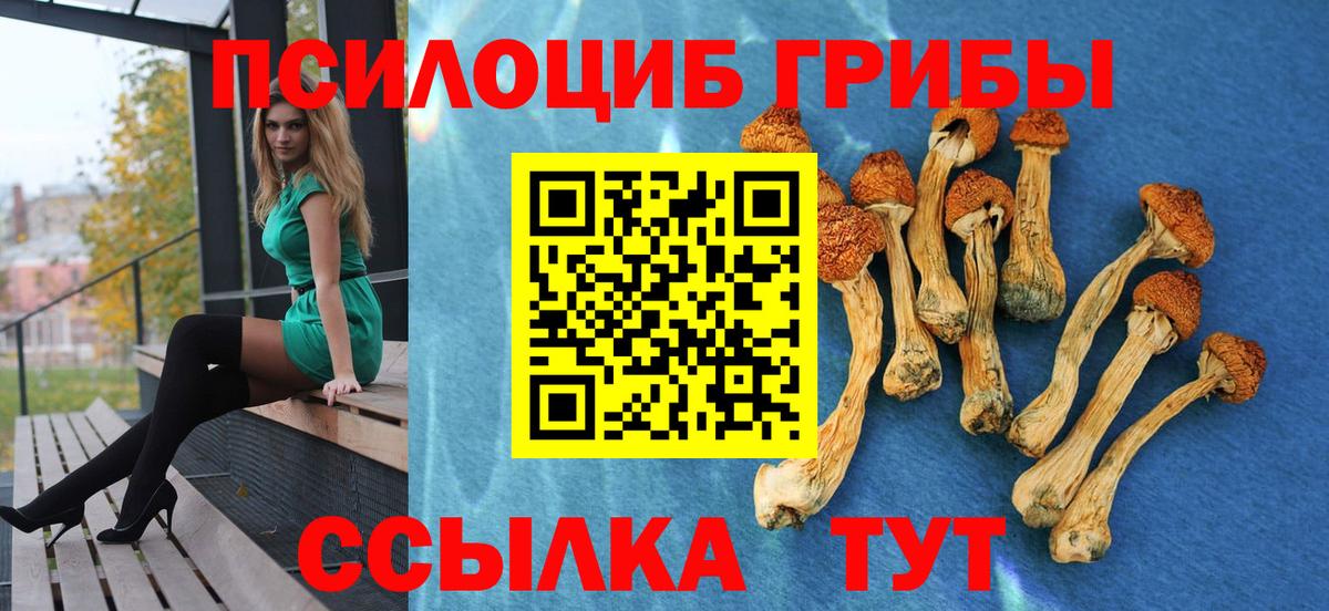 как найти наркотики  Галлюциногенные грибы прущие грибы  Вход с VPN  Галлюциногенные грибы Psilocybe  Печора 